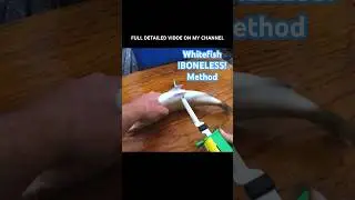 How to fillet Lake Whitefish (BONELESS!) #shorts #fishing #fish