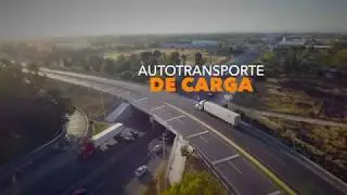 Iniciativa - Regular el peso de los doblemente articulados