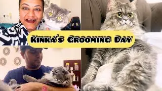 Cat GROOMING😍My Kinka | Cat Lover | Dubai Vet Clinic | Sharjah | Cat Life In Dubai | Vibewithmahek 