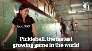 Pickleball popularity peaks in Gisborne | Local Focus