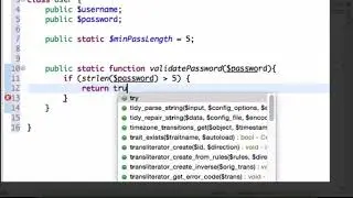 Activity 1 Part 5a - Static properties and static methods in PHP functions
