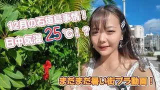 12月の石垣島街ブラする動画！