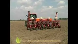 semine primaverili