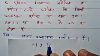 📒Class-10th Maths Chapter-1real number exercise 1.1 Ncert Maths (वास्तविक संख्याए)प्रश्न - 5
