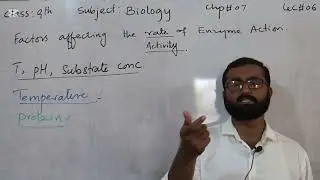 Factors affecting the activity of enzyme action| effect of temperature