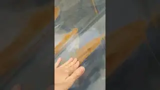 Sand storm in Bavaria