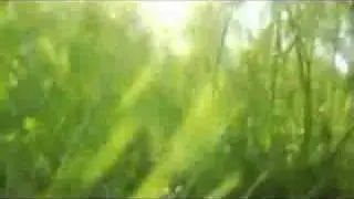 Obfusc / Amateur Cartography (Official Video)