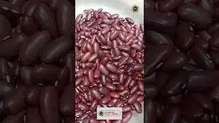 Rawajmah sprouts | Red Beans Sprouts Recipe | Rajma Sprouts | Healthy & Protein Rich Sprouts Recipe