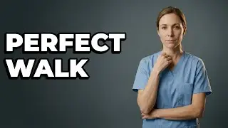 How Do I Pick The Best Walking Leash?