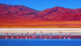 Los 20 LUGARES m&aacute;s Incre&iacute;bles de ARGENTINA que ni los mismos ARGENTINOS CREEN que EXISTEN