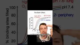 Худшее дыхание, которое может быть при апноэ во сне