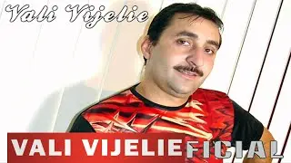 Vali Vijelie - E scris pe cerul instelat