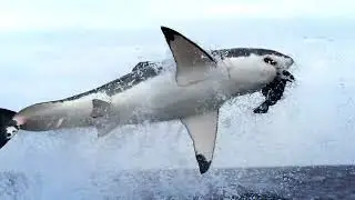 New Series Starting 6 April | Deadliest Month Ever | National Geographic MENA