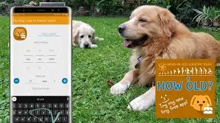 [Android app] Find out how old is your dog in human years