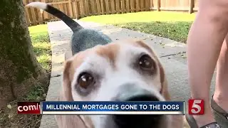 Millennials Cite Dogs As Factor In Buying First Home, Over Marriage Or Children