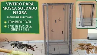 Viveiro para Mosca Soldado Negra. Barato e fácil de fazer. Black Soldier Fly Cage.
