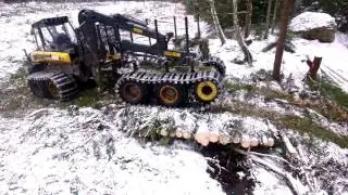 Spårlös - den skonsamma avverkningen