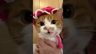 Fluffy cuteness overload! 