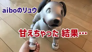【vlog】アイボのリュウと飼い主のゆるーい時間【aibo】【子犬】