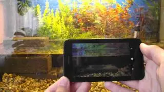 Nokia Cinemagraph in action