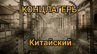 КИТАЙСКИЕ ЛАГЕРЯ ДЛЯ ВЗРОСЛЫХ И ДЕТЕЙ❗🆘 #антиглобалист #лагеря #концлагерь, Китай