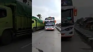 paradise po haryanto #basuri #bus  #poharyanto #paradise #telolet #teloletbasuri #teloletbus