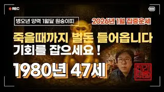 1980년 경신생 47살 원숭이띠!!2026년 병오년  죽을떄까지 벌돈 들어옵니다 기회를 잡으세요!!