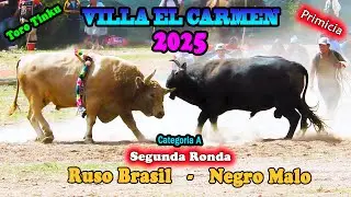 ToroTinku from VILLA EL CARMEN 2025, 