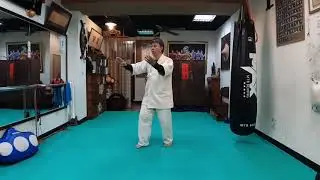 台灣 澎湖島 黃宜雄 鳴鶴拳 八步連