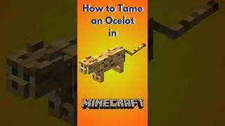 How to tame an Ocelot in Minecraft #minecraft #gaming #minecrafttips