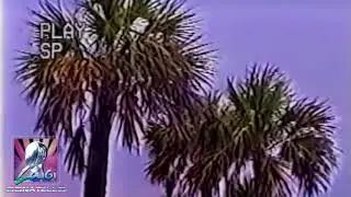 Moustache Machine - Miami 1986 Part II