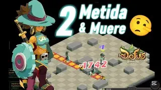 Tymador Inte - Suerte 🔥- Koliseos 1 Vs 1 [ DOFUS TOUCH ] 