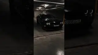 Еще больше доджа в тгк: hishinar #challenger #dodge #тамбов #fyp
