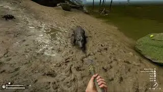 Green Hell Ps5 - Caimans don't care how long you've survived.