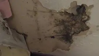 INSALUBRITE LOGEMENT NARBONNE