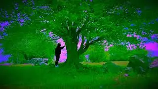 Treece 