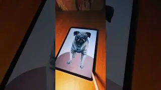 Artscue-Art meet Rescue #pug #procreate#dog