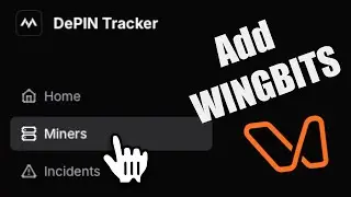How to add Wingbits to the Moken DePIN tracker