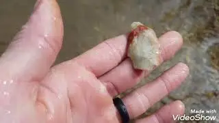 Creek Walking : Arrowheads and Old Bottles!