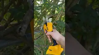 Melif electric pruner for Dewalt is impressive 👀