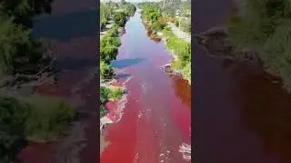 🚨🇦🇷 Toxic Red Sludge #Contaminates #Argentina Waterway 🏞️
