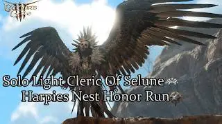 Solo Light Cleric Of Selune Harpies Nest Honor Run Part 7