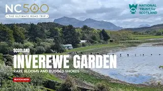 Inverewe Gardens | Scotland&rsquo;s Tropical Oasis on the Wild West Coast