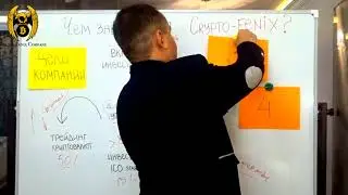 Чем занимается Crypto Fenix company Деятельность и направления