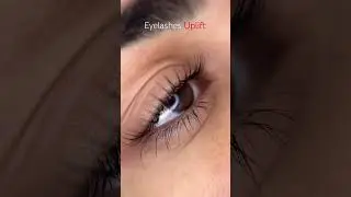 Eyelashes Uplift | Le Posh |
