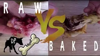 Raw vs Cooked Chicken Bones
