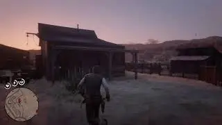RDR2--Red Dead Redemption 2--Cigarette Cards in Armadillo (completed)