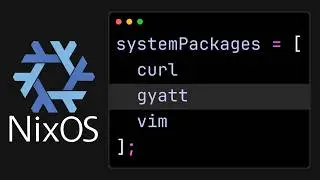 How to Install Custom Shell Script in NixOS