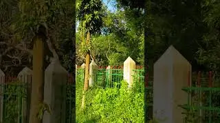 Nature_001