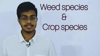 CRITICAL PERIOD OF CROP WEED COMPETITION & FACTORS RESPONSIBLE FOR IT. By Mr. Sameer Mohapatro